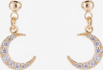 Cala Rose Ohrringe 'Tara' in Gold: Vorderseite
