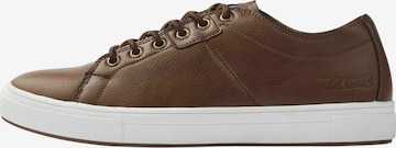 MCS Šněrovací boty ' MCTomson ' – hnědá: přední strana