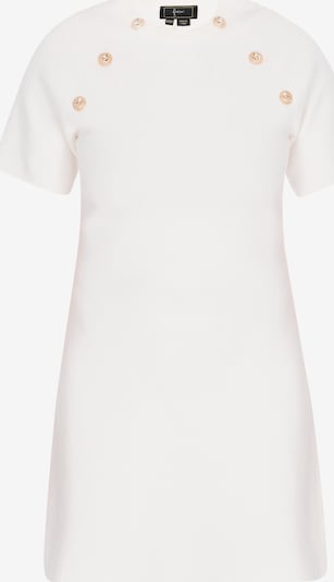 faina Šaty - šedobiela, Produkt