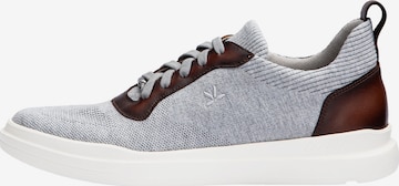 Baskets hautes 'DRIFT' LLOYD en gris : devant