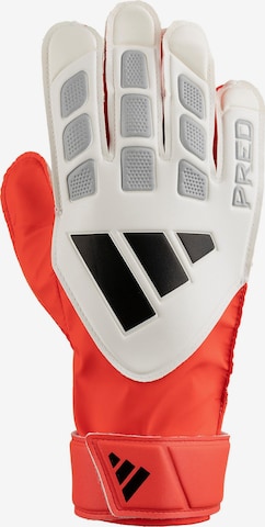 ADIDAS PERFORMANCE Sporthandschuhe in Beige: Vorderseite