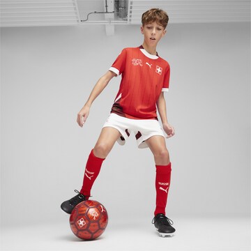 PUMA Functioneel shirt 'Schweiz 2024' in Rood