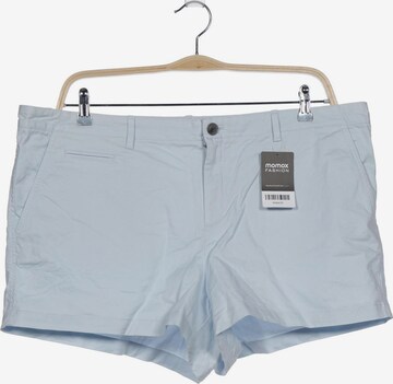 GAP Shorts in 5XL in Blue: front