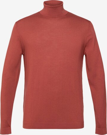 Esprit Collection Sweater in Brown: front