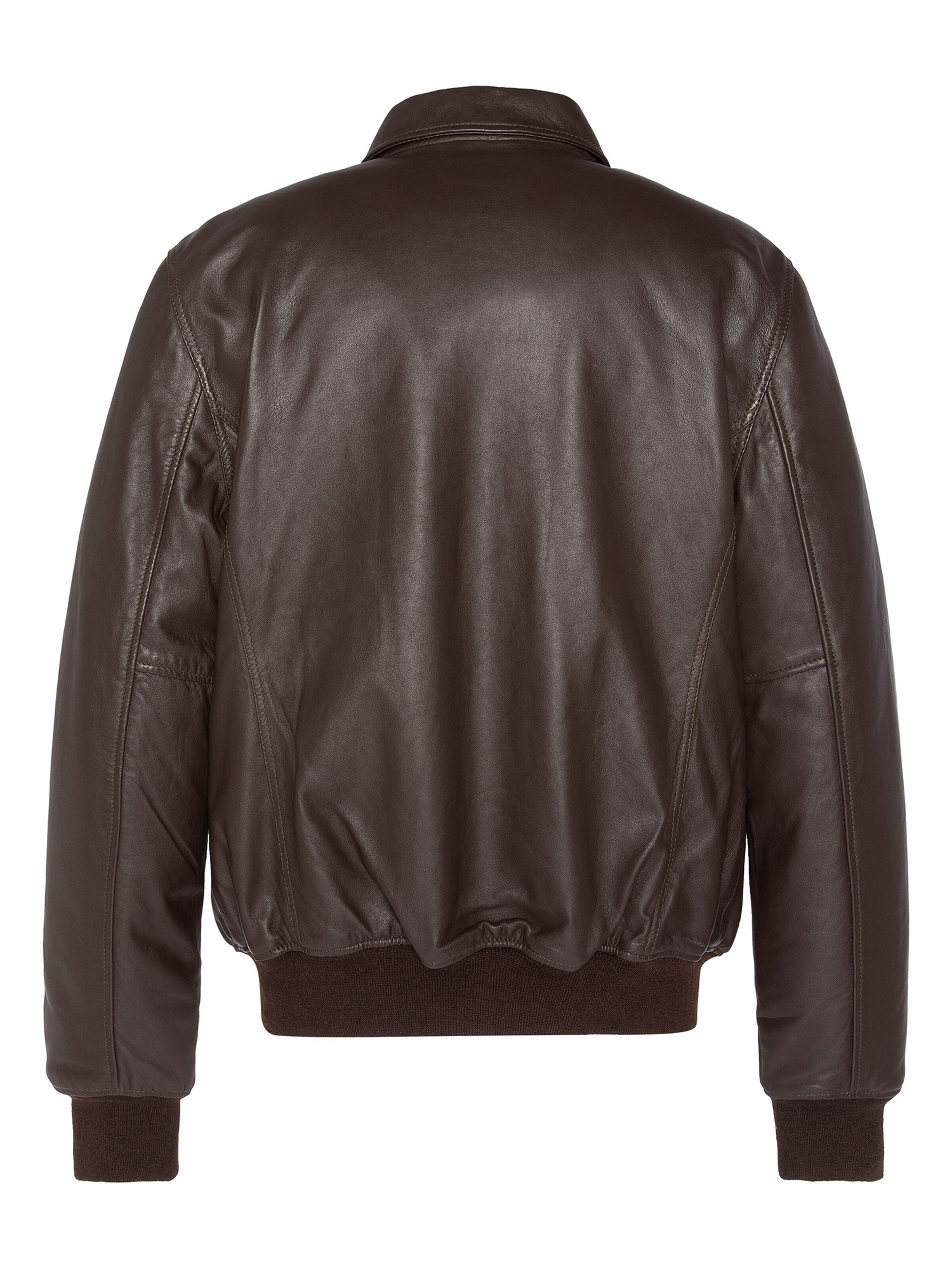 Schott NYC Winter Jacket in Brown
