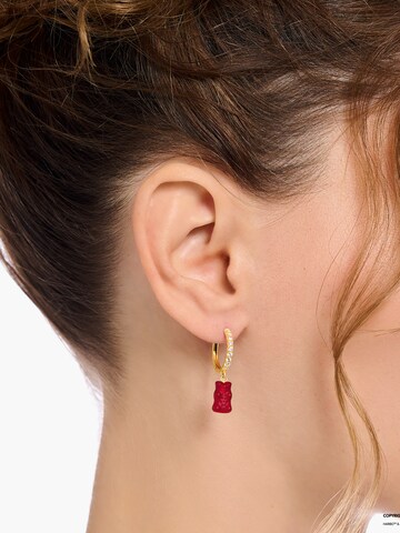 Thomas Sabo Ohrring in Gold: Vorderseite