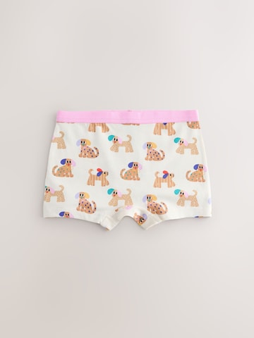 Next Unterhose in Mischfarben