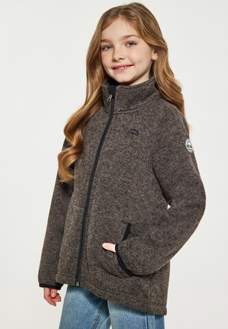 Schmuddelwedda Fleece jacket in Grey: front