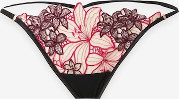 Bluebella String in Black: front