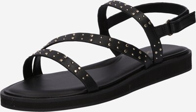 Sandalo con cinturino 'NYDALINWAN' ALDO di colore nero / argento, Visualizzazione prodotti