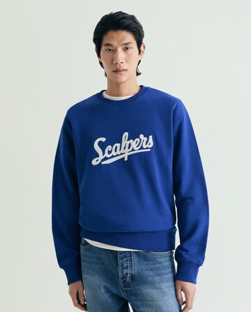 zils Scalpers Sportisks džemperis ' '