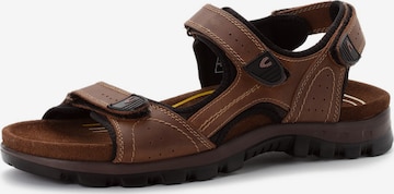 CAMEL ACTIVE Trekking sandal in Brown: front