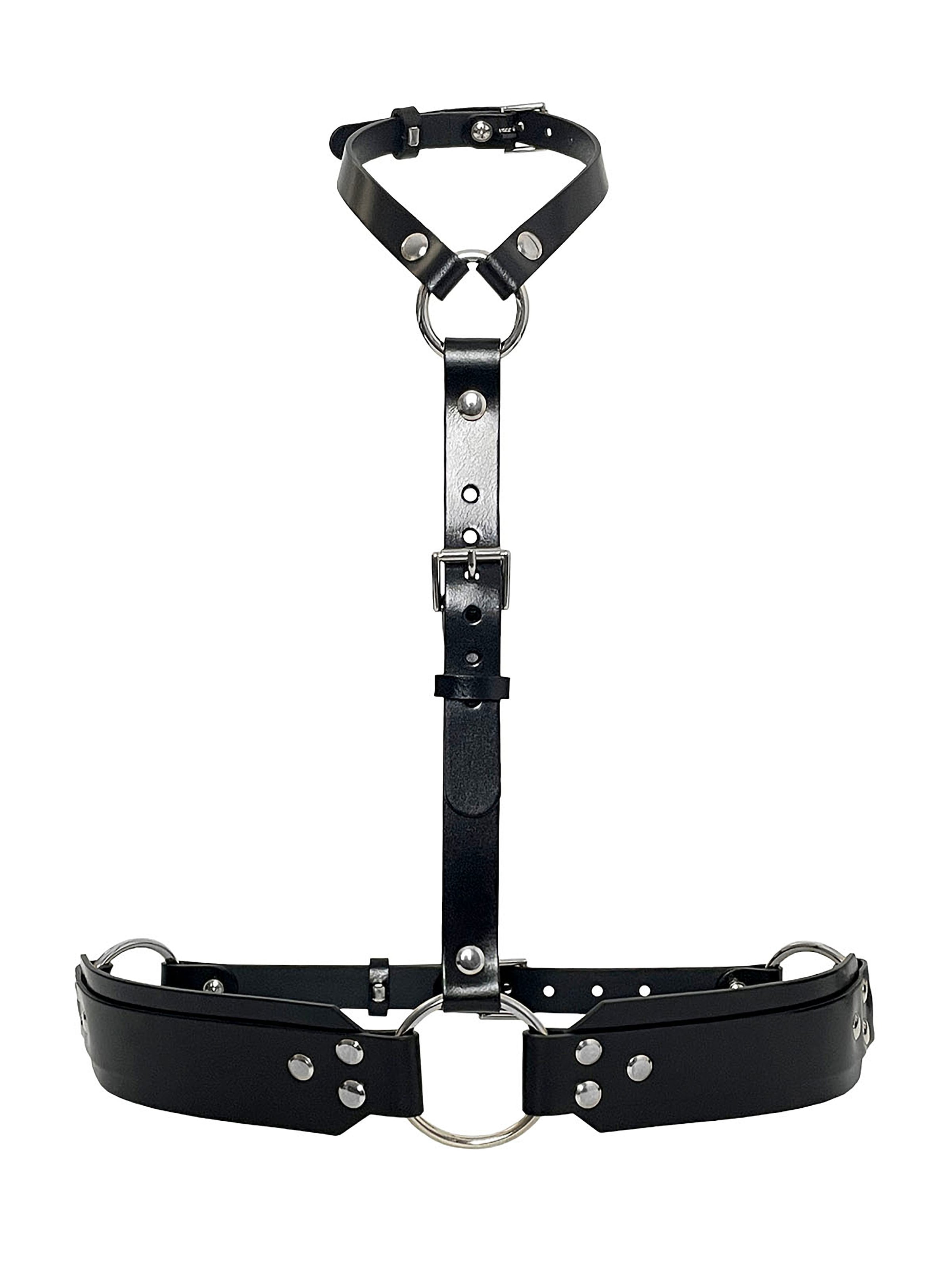 Haute Cuir Belt 'Ceres' in Black: front