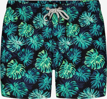 Shorts de bain ' Grove ' Bondi Joe en bleu : devant