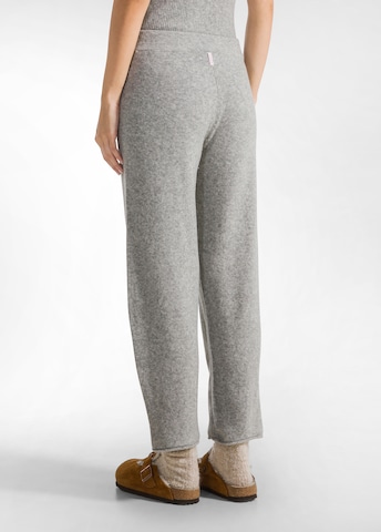 Regular Pantalon DEHA en gris