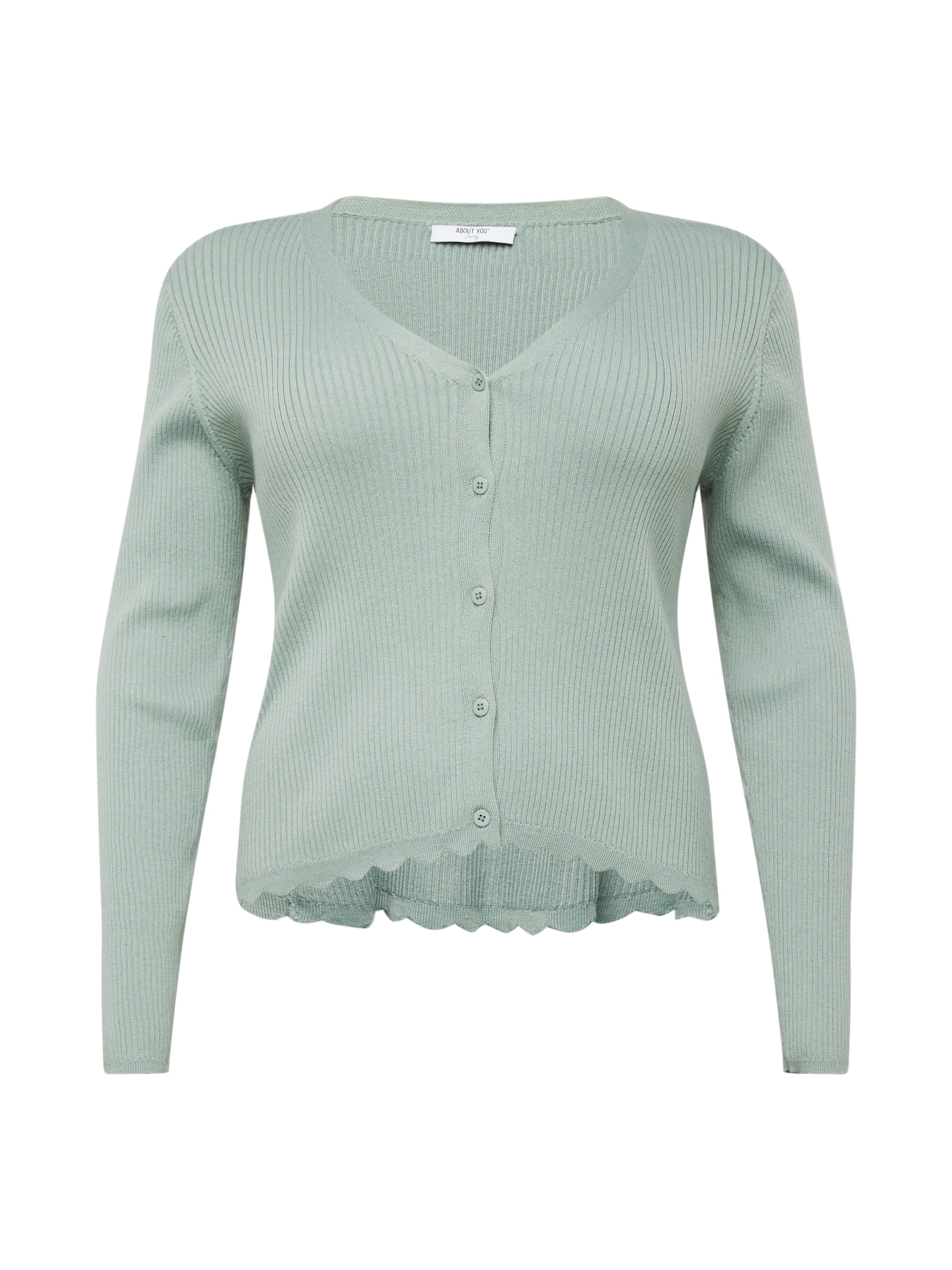 ABOUT YOU Curvy Πλεκτή ζακέτα 'Taria Cardigan' σε πράσινο: μπροστά