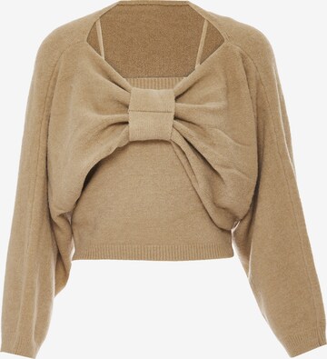 NALLY Sweater in Brown: front