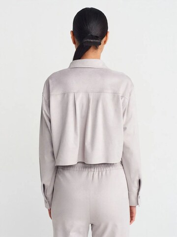 Dilvin Shirt in Grey