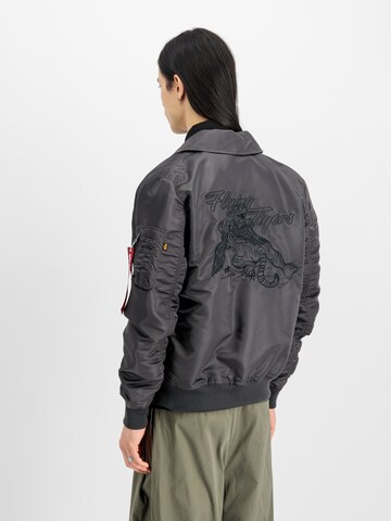 Veste mi-saison 'Flying Tigers' ALPHA INDUSTRIES en gris : devant