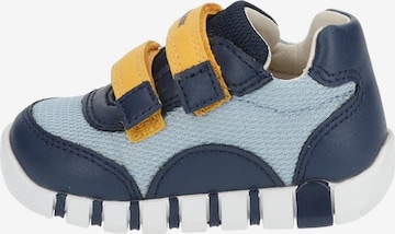 GEOX Sneakers in Blauw