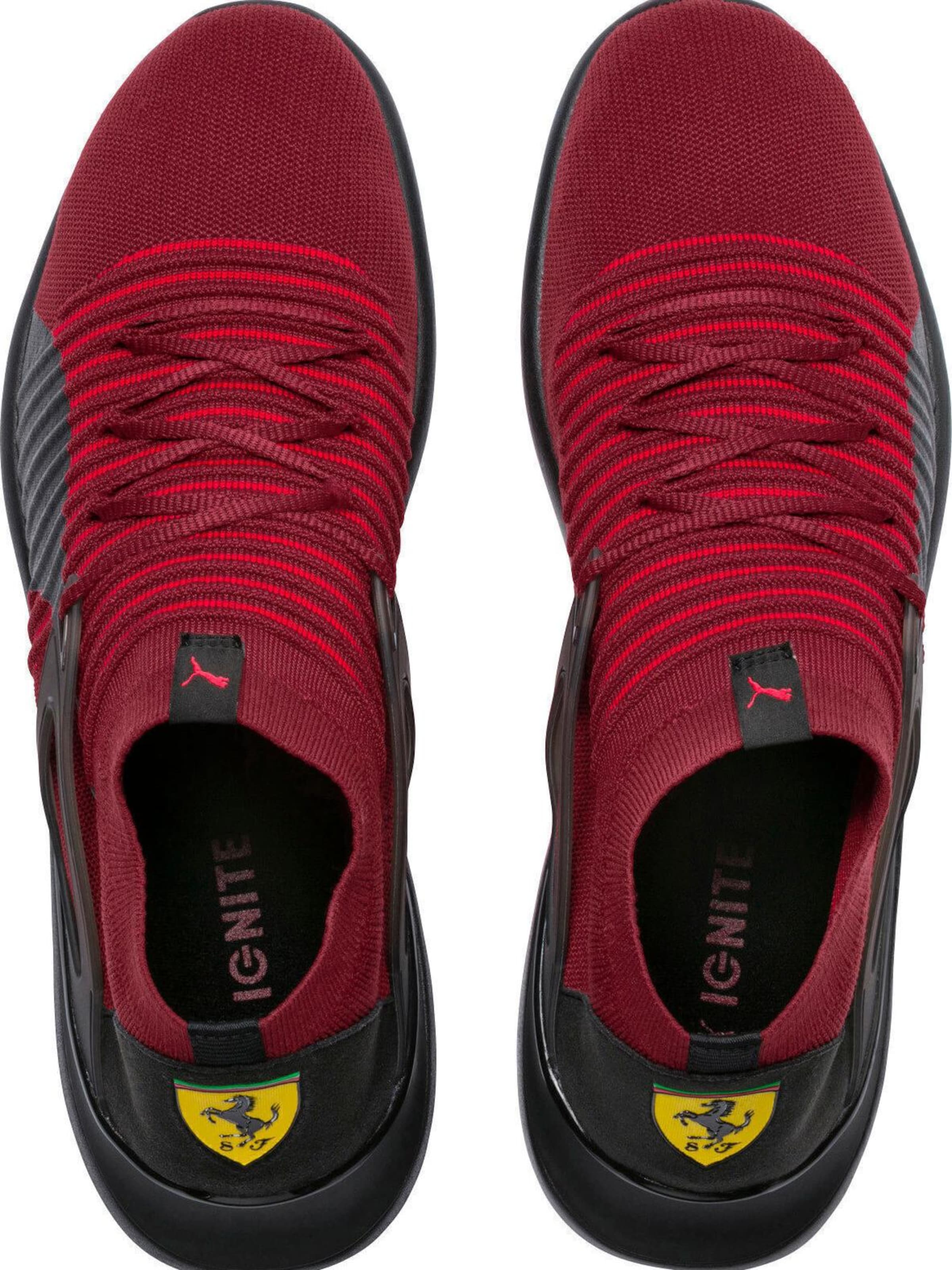 PUMA Sportschoen 'Puma Scuderia Ferrari Evo Cat Ii Sock Lace' in Rood