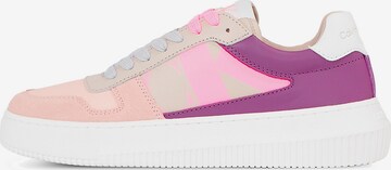 Calvin Klein Jeans Sneakers 'CUPSOLE' in Mixed colors: front