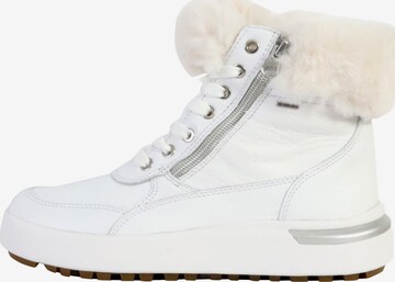 Ankle boots di GEOX in bianco: frontale