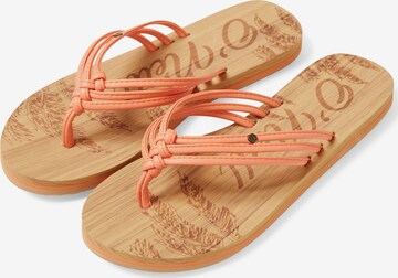 O'NEILL T-Bar Sandals 'Ditsy' in Orange