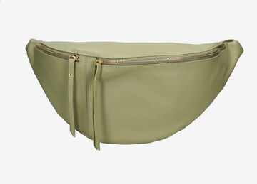 Marsupio 'Marsupio donna pelle dollaro Gave Lux - con zip e tracolla regolabile' di Chiara Ferretti in verde: frontale