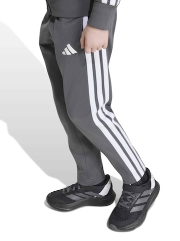 ADIDAS SPORTSWEAR Tréningruha 'Seasonal Essentials Tiberio' - szürke