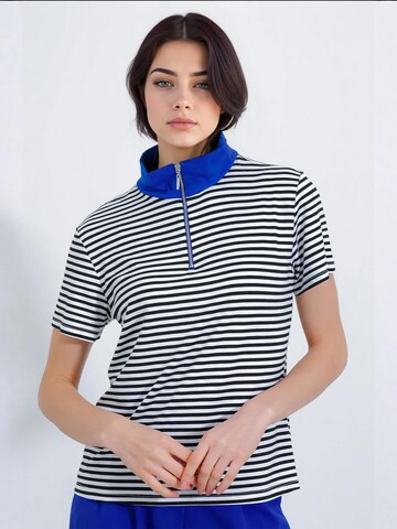 Bigdart Shirt in Mixed colours