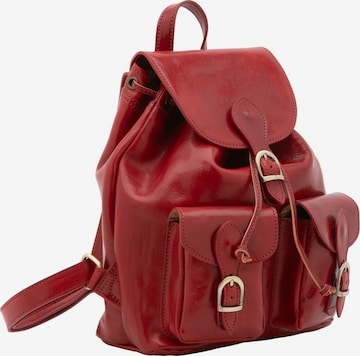 Viola Castellani Rucksack in Rot: Vorderseite