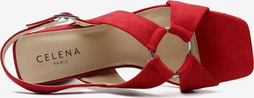 Celena Sandalen met riem 'Christel' in Rood