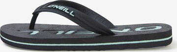 O'NEILL - Zapatos para playa y agua en negro: frente