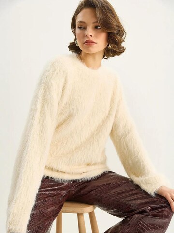 Bianco Lucci Pullover in Beige