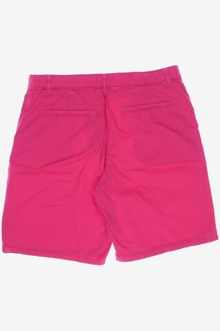 DARLING HARBOUR Shorts in S in Pink