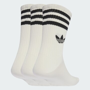 Chaussettes ADIDAS ORIGINALS en blanc