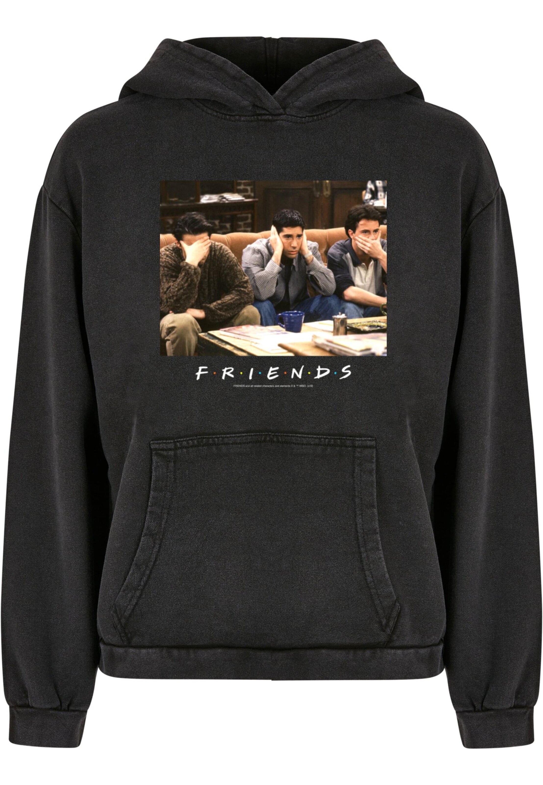 ABSOLUTE CULT Sweatshirt 'Friends - Three Wise Guys' in Grey: front