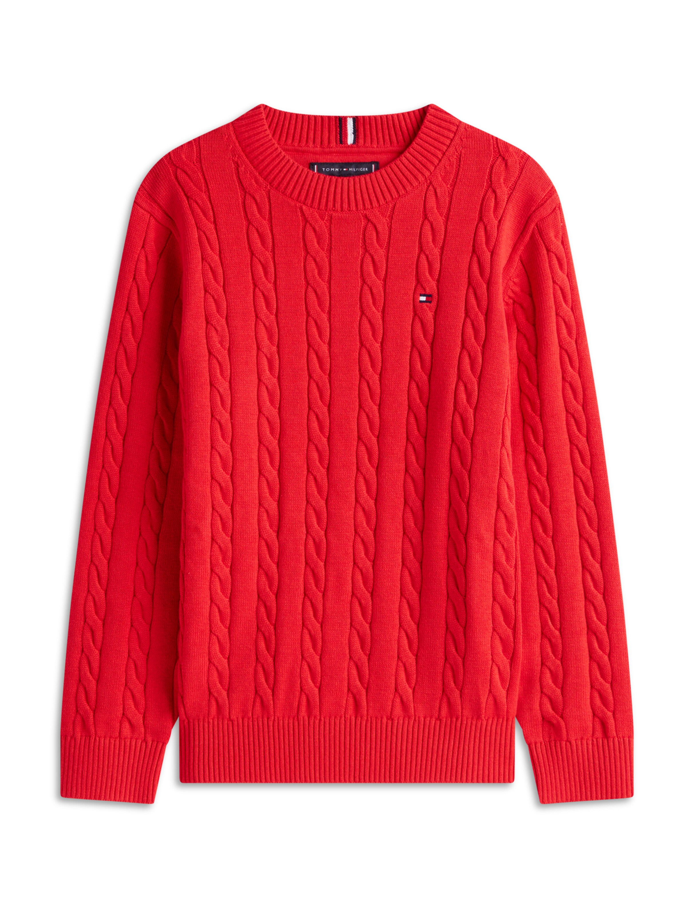 TOMMY HILFIGER Свитер в Красный: спереди