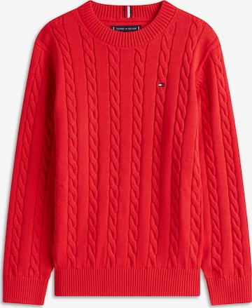 TOMMY HILFIGER Свитер в Красный: спереди