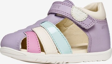GEOX Offene Schuhe in Lila: Vorderseite