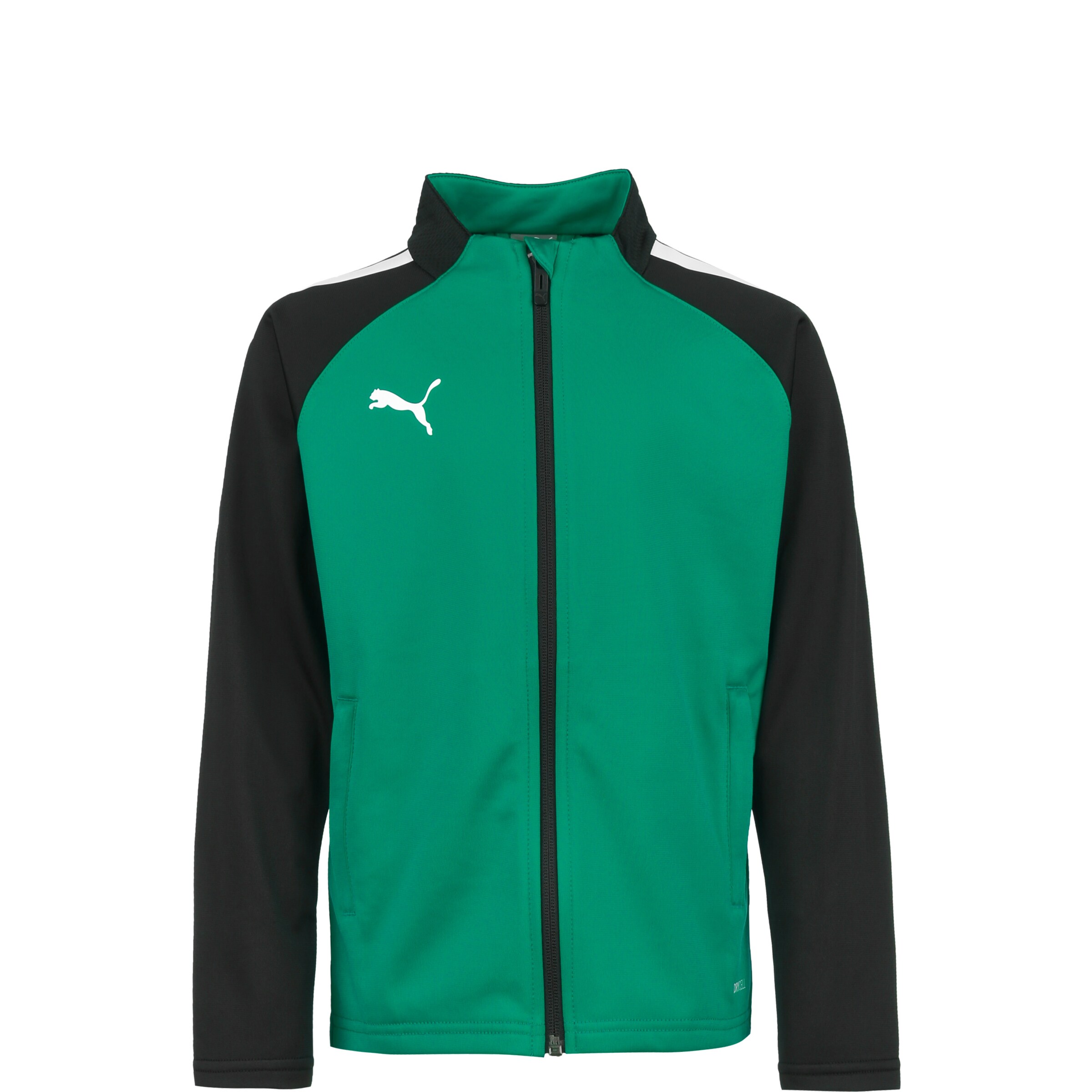 PUMA Sportjacke 'TeamLIGA' in Grün: Vorderseite