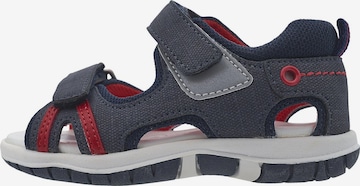 Chaussures ouvertes 'Forrest' CHICCO en bleu : devant