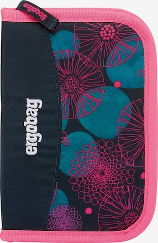 ergobag Bag 'Federmäppchen Federmäppchen' in Mixed colors: front