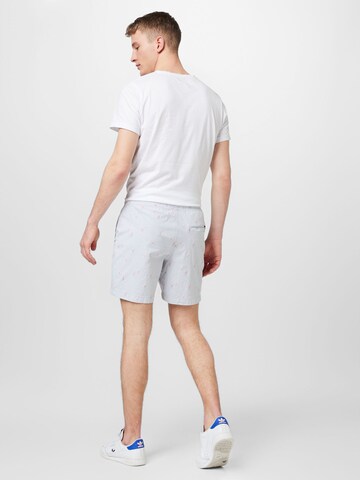 HOLLISTER Regular Shorts 'FLAMINGO' in Grau