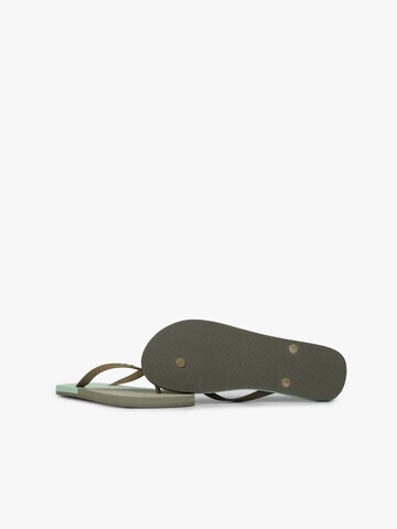 Scalpers T-bar sandals in Green