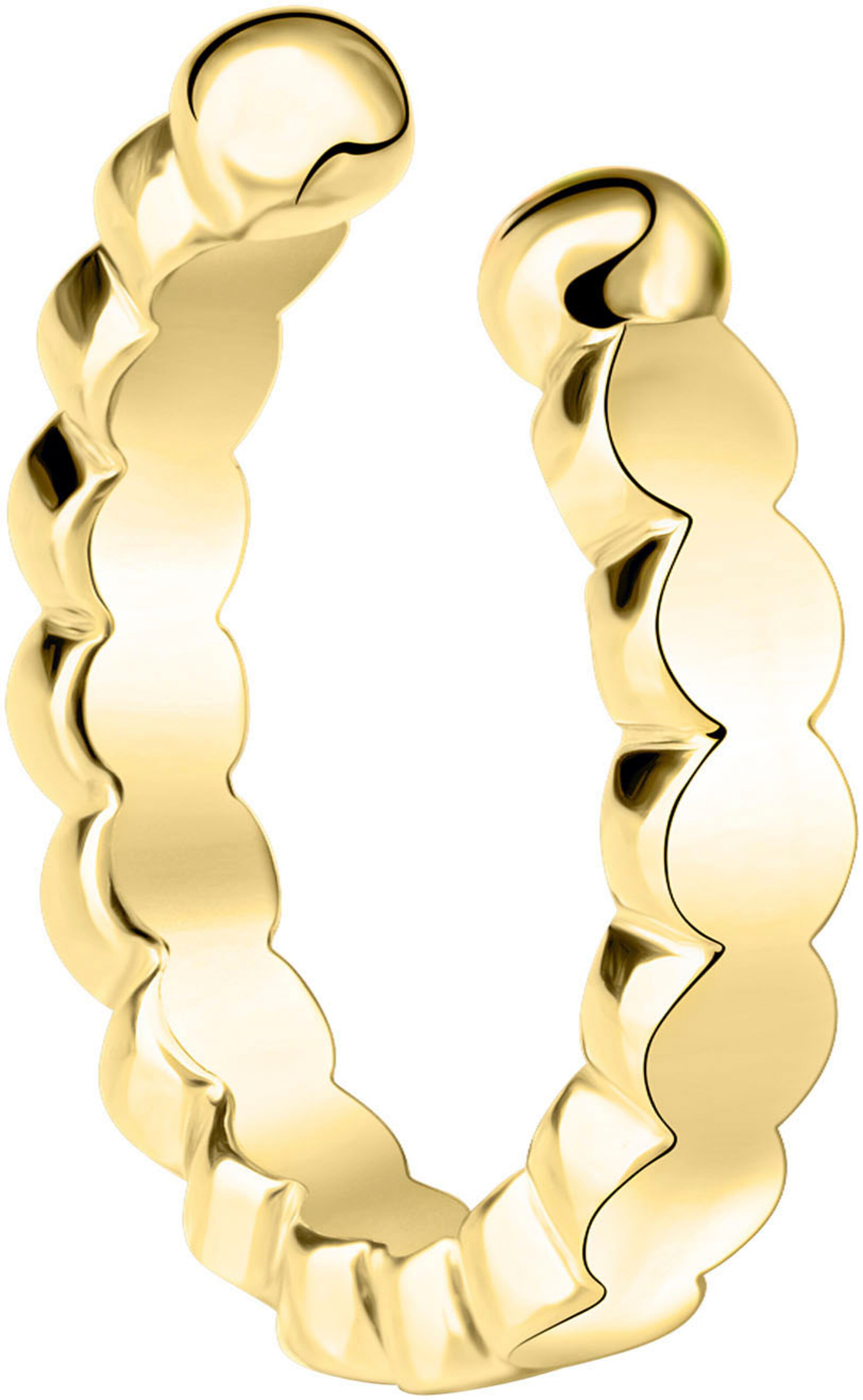 FIRETTI Earrings in Gold: front