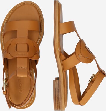 See by Chloé Strap sandal in Brown