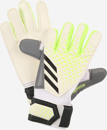 ADIDAS PERFORMANCE Athletic Gloves 'Predator Match Goalkeeper' in Beige: front