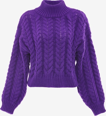 Sookie Sweater in Purple: front